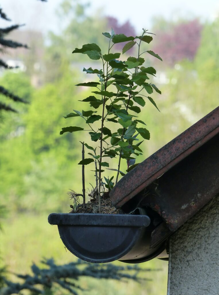 Gutter Repairs & Maintenance in London<br />
